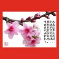 诗人