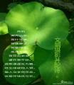 诗人