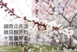 诗人