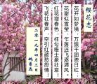 诗人