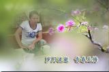 诗人