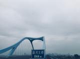 诗人