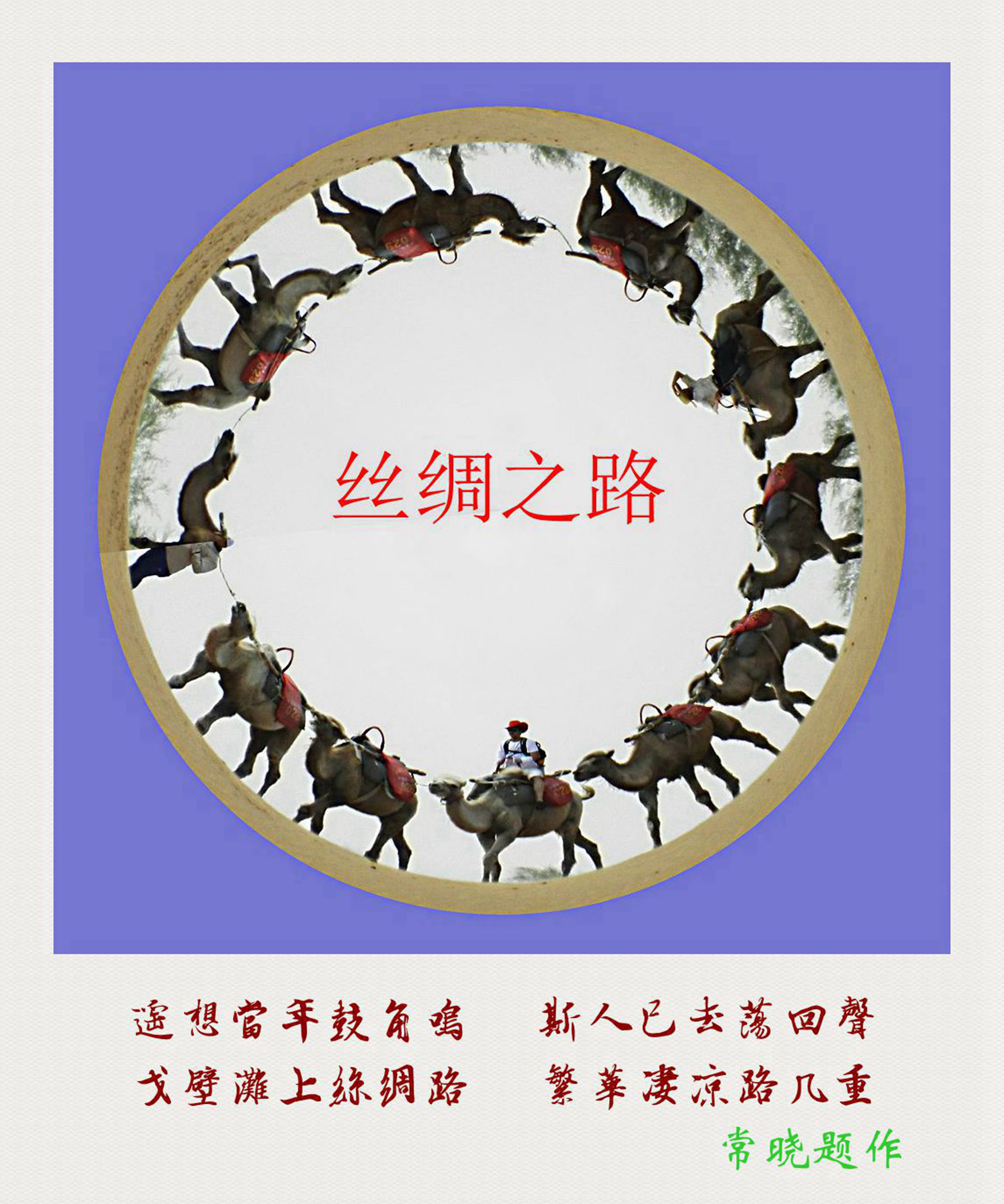 诗影情照片 (5)