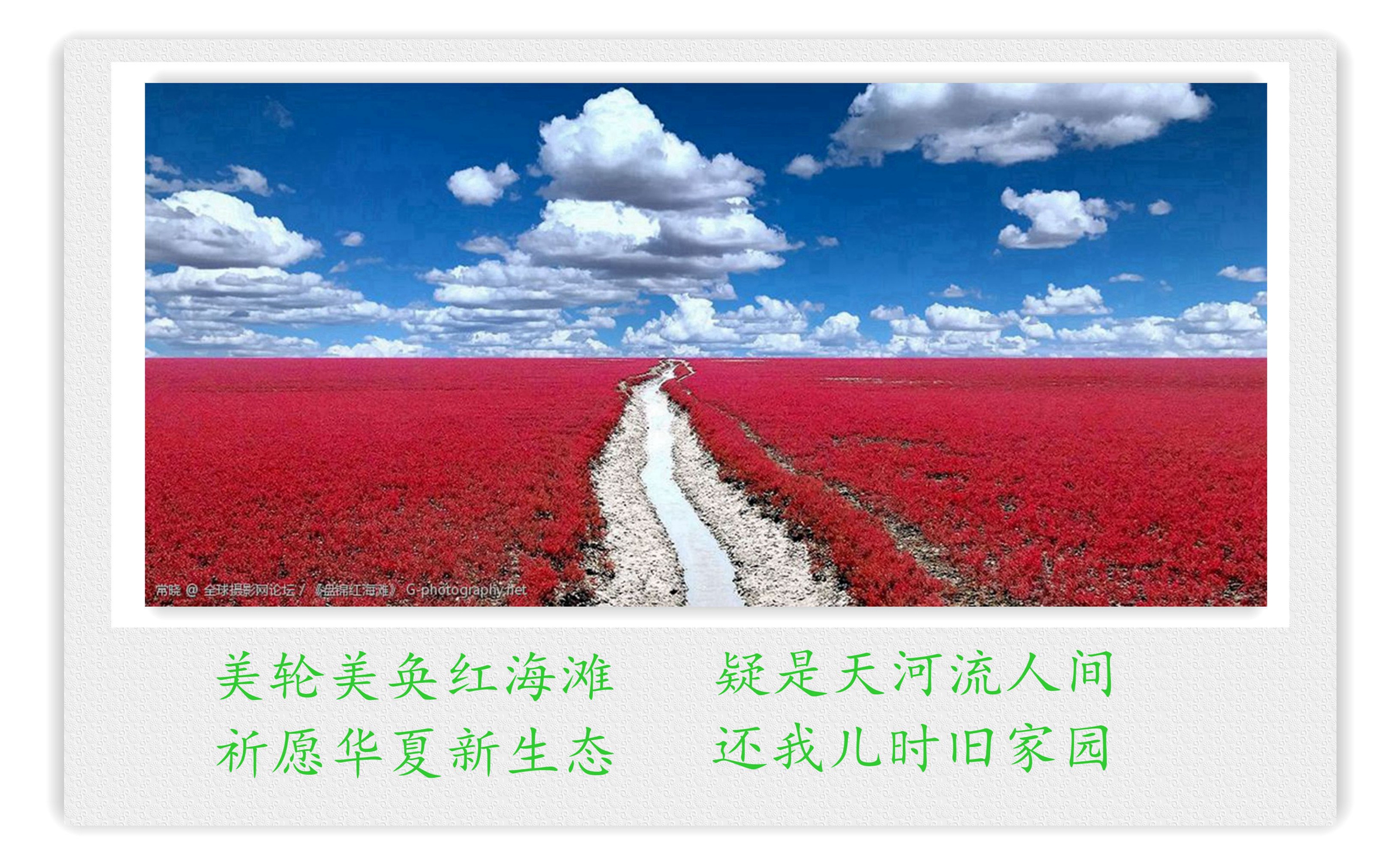 诗影情照片 (18)