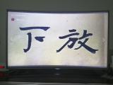 诗人