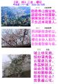 诗人