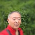 诗人