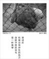 诗人