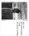 诗人
