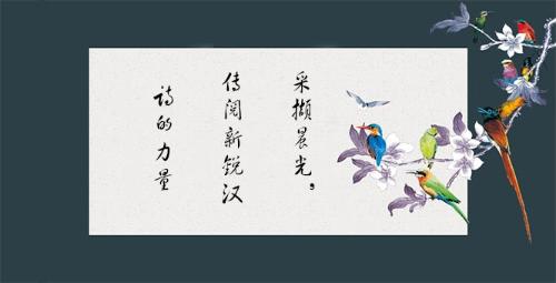 编辑推荐