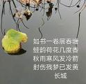 诗人