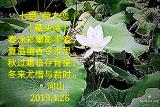 诗人
