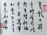 诗人