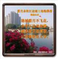 诗人