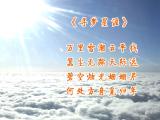 诗人