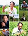 诗人