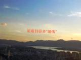 诗人