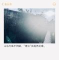 诗人