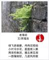 诗人