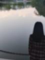 诗人
