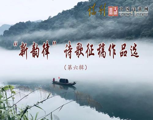 六期