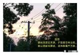 诗人