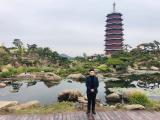 诗人