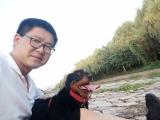 诗人