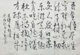 诗人