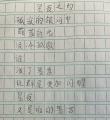 诗人