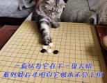 诗人