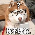 诗人