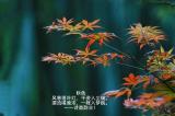 诗人