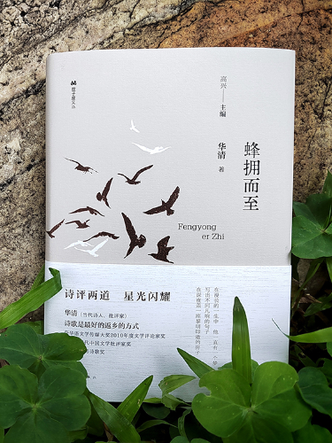 图片 3