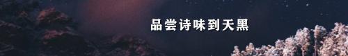 孙长印03
